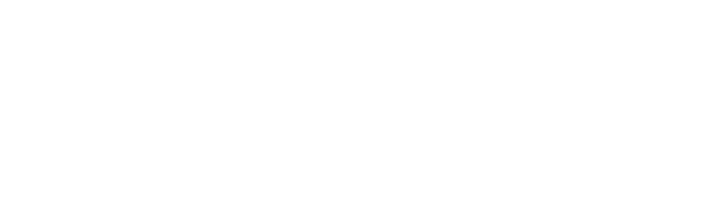 Forcetech International logo